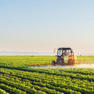 vendita-sementi-agricole-certificate-italia-piemonte-adaglio-sementi-frumento-triticale-orzo-avena-soia-leguminose-foraggio-adaglio-sementi-metodologia